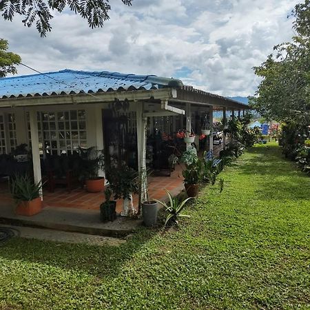 Villa Monica Montenegro Eksteriør bilde