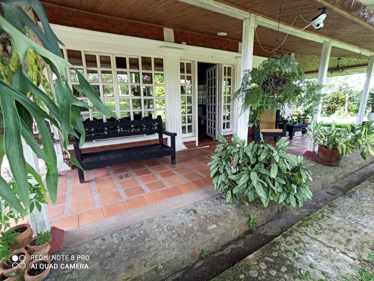 Villa Monica Montenegro Eksteriør bilde