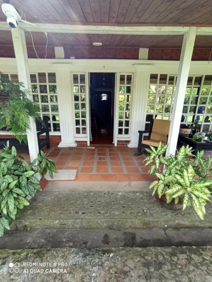 Villa Monica Montenegro Eksteriør bilde