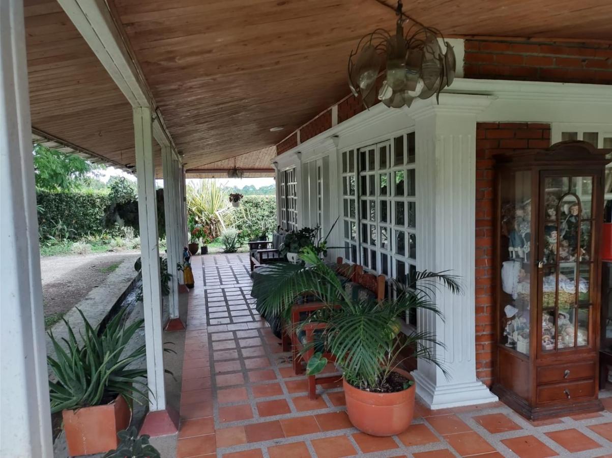 Villa Monica Montenegro Eksteriør bilde
